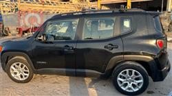 جيب رينيجيد